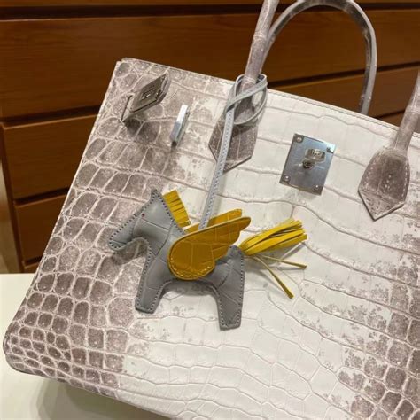 hermes blog birkin|birkin official website.